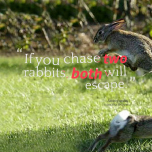 Quotes About: If you chase 2 rabbits