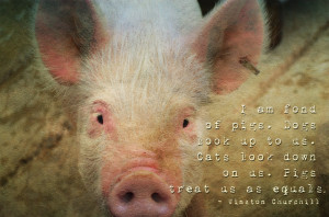 Quote of the Week: On animals