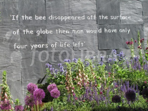 honey bee quote source http fotolibra com gallery 671191 bee quote ...