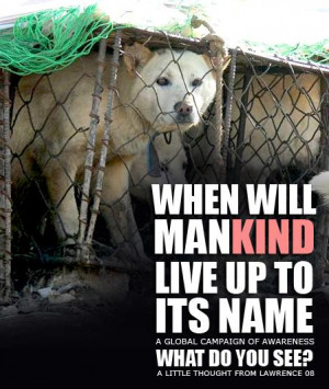 Stop Cruelty Towards Animals