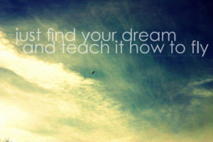 just find your dream and teach it how to fly