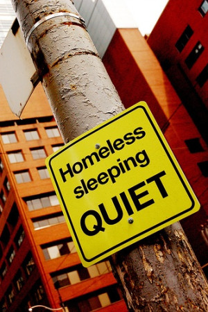 quiet, think about this juxtapose while in the Forrest watching for ...