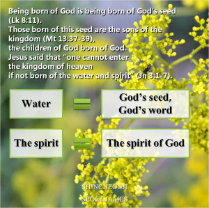 god s seed and those born of man s seed