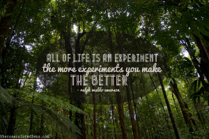 Ralph Waldo Emerson - All of Life is an Experiment