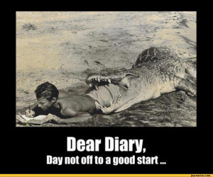 dear diary da not off to a good start / crocodile :: funny pictures ...