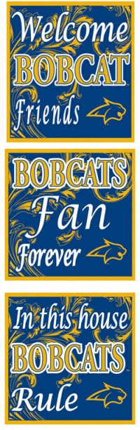 Montana State Bobcats Collegiate Crystal Bling Blocks