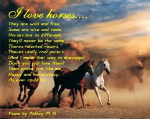 My first Horse Poem Image