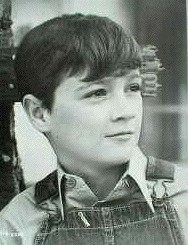 that describe the character etc atticus finch jean louise finch