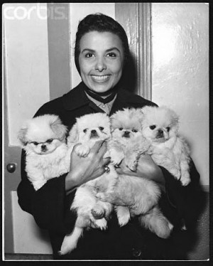 Lena Horne with arms full of puppies. I would argue that even though ...