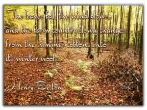 and sayings jenna bug designs autumn quotes fall sayings fall sayings ...