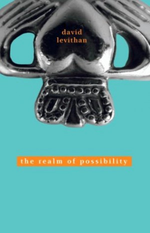 The Realm of Possibilty by David Levithan