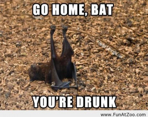 Go home bat Funny picture