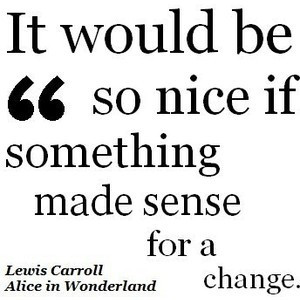 It would be so nice if something made sense for a change.