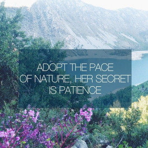 Ralph Waldo Emerson: Ralphwaldoemerson