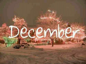 christmas, december, lights, quote