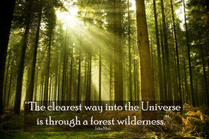 ... way into the universe in through the forest wilderness”-John Muir