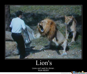 Related Pictures backyard smell funny if you don t clean it up really ...