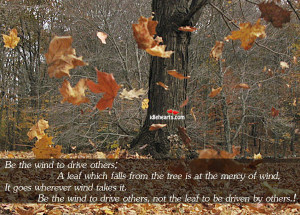 ... wind takes it. Be the wind to drive others, not the leaf to be driven