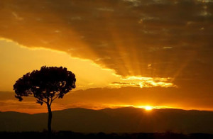 10 fotos inspiradoras do nascer do sol