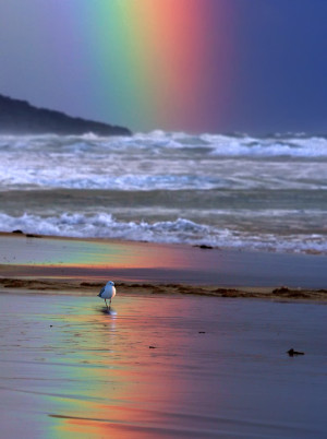 be thou the rainbow in the storms of life the evening beam that smiles ...