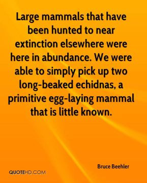 Bruce Beehler - Large mammals that have been hunted to near extinction ...
