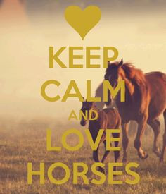 Horse Quotes About Love (10)