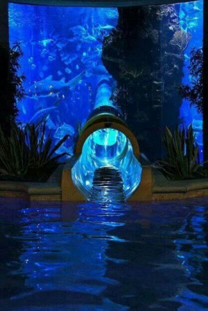 Golden Nugget Hotels Water Slide Through a Shark Tank...scary cool!!