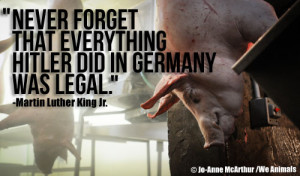 Pig in Slaughterhouse and Martin Luther King Jr. Quote