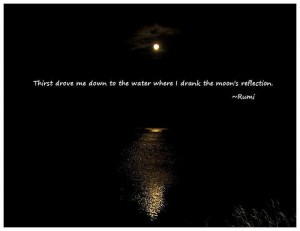 Thirst drove me down to the water where I drank the moon's reflection.