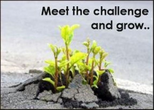 meet the challenge and grow