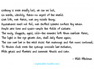 walt whitman quote line notebook the sophiealder