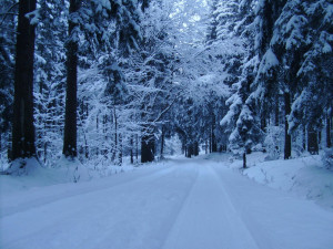 Those who say it can't be done shouldn't interrupt the ones who are ...