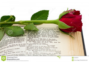 Shakespeare quote from Romeo and Juliet with red rose across: What's ...