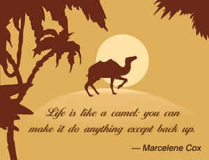 Quotes and Sayings about Camels
