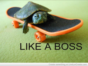 cute, like a boss, love, pretty, quote, quotes, skateboards, turtles