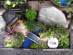 Tiny Gardens joannabanana picture Miniature Japanese Garden
