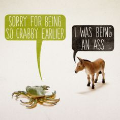 Sorry For Being So Crabby Earlier. I Was Being An Ass. -Aled Lewis ...