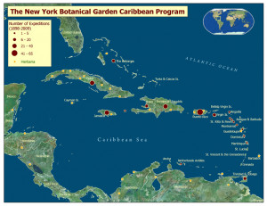 caribbean ocean meet with the gulf of mexico and the atlantic ocean