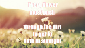 quote about flowers positive thesaurus 100 positive flower quotes ...