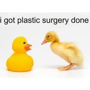 Duck Cosmetic Plastic Surgery Funny Picture - I got plastic surgery ...