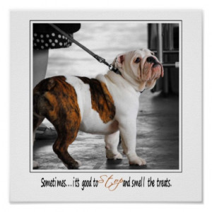 Bulldog Puppy III With Quote SMALL Fine Art Print