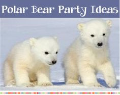 ... for kids more awesome animal animal pics polar cubs polar bears plays