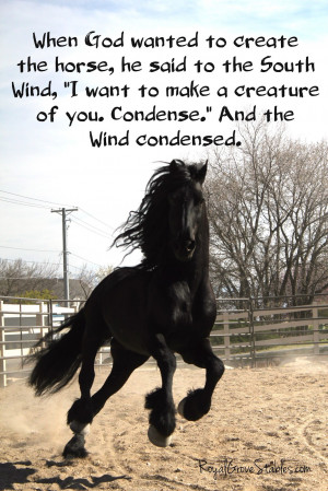 To Facebook Labels Friesian Stallion Horse Quotes Horses Picture