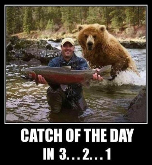 Funny Bear Catch of the Day in 3 ... 2 ... 1