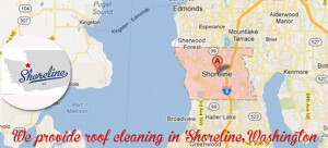 Roof and Gutter Cleaning Shoreline, WA