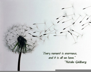 natalie-goldberg-quote-image.jpg
