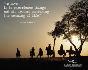 Quotes About Horseback Riding