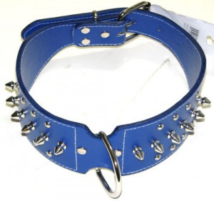 New H D Large Spiked Leather Dog Collar Royal Blue | eBay