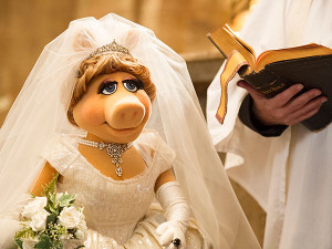 Kermit And Miss Piggys Wedding The Inside Details picture