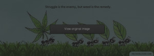 Marijuana Quote Facebook Covers More Quotes Covers for Timeline